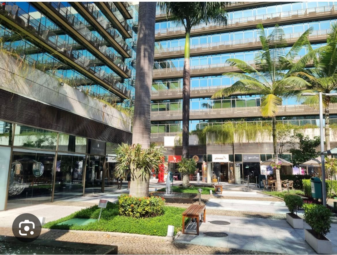 Camila Martins De Andrade Faller-0