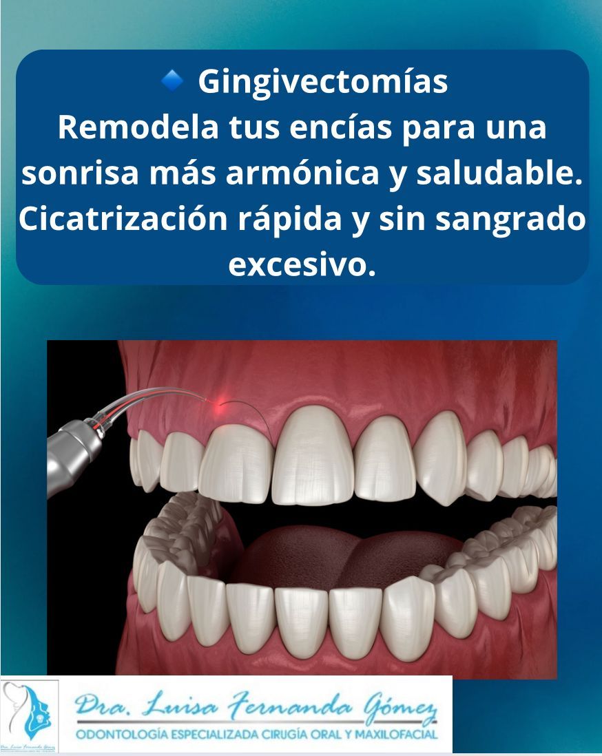 Luisa Fernanda Gomez Reyes-28