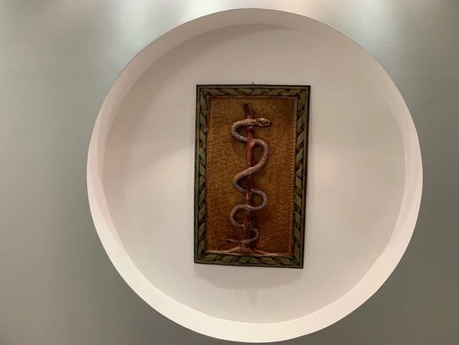 Renato Fernandes Elias-4