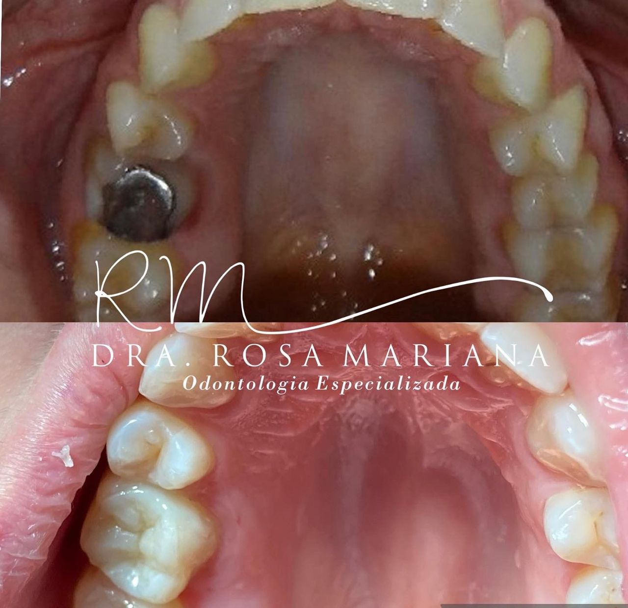 Rosa Mariana Dos Santos-1