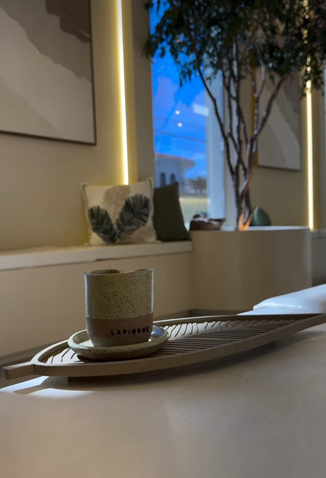 Carolina Lemos Abreu Silveira-10