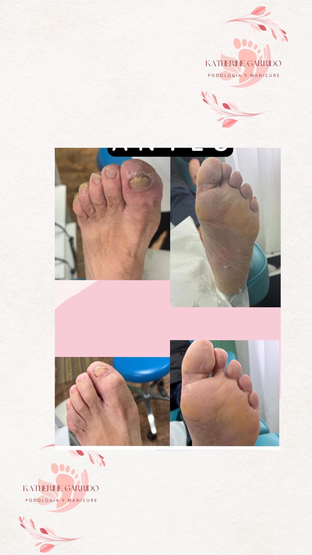 Katherine Daniela  Garrido Carrasco -8