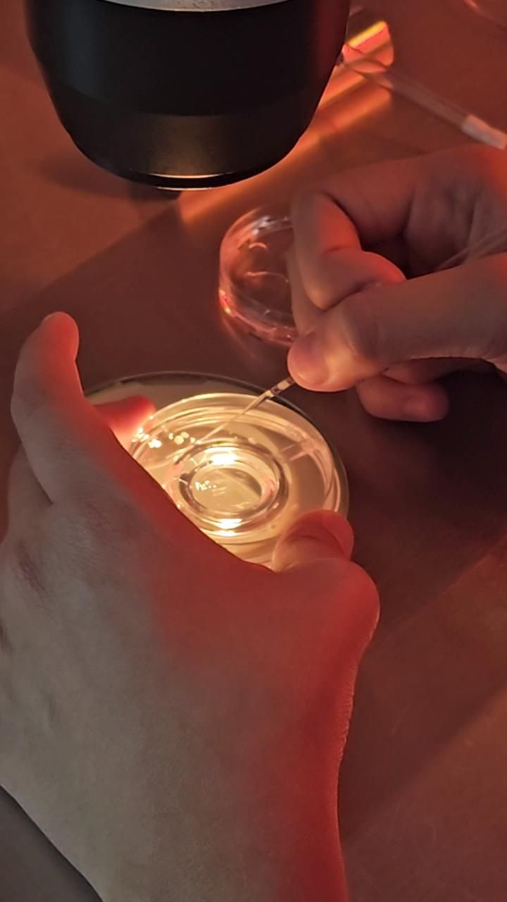 Nancy Angeles Villarreal-13