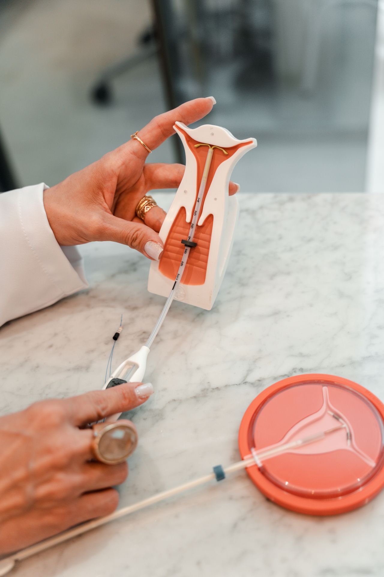 Liliane Vivian Bicudo-5