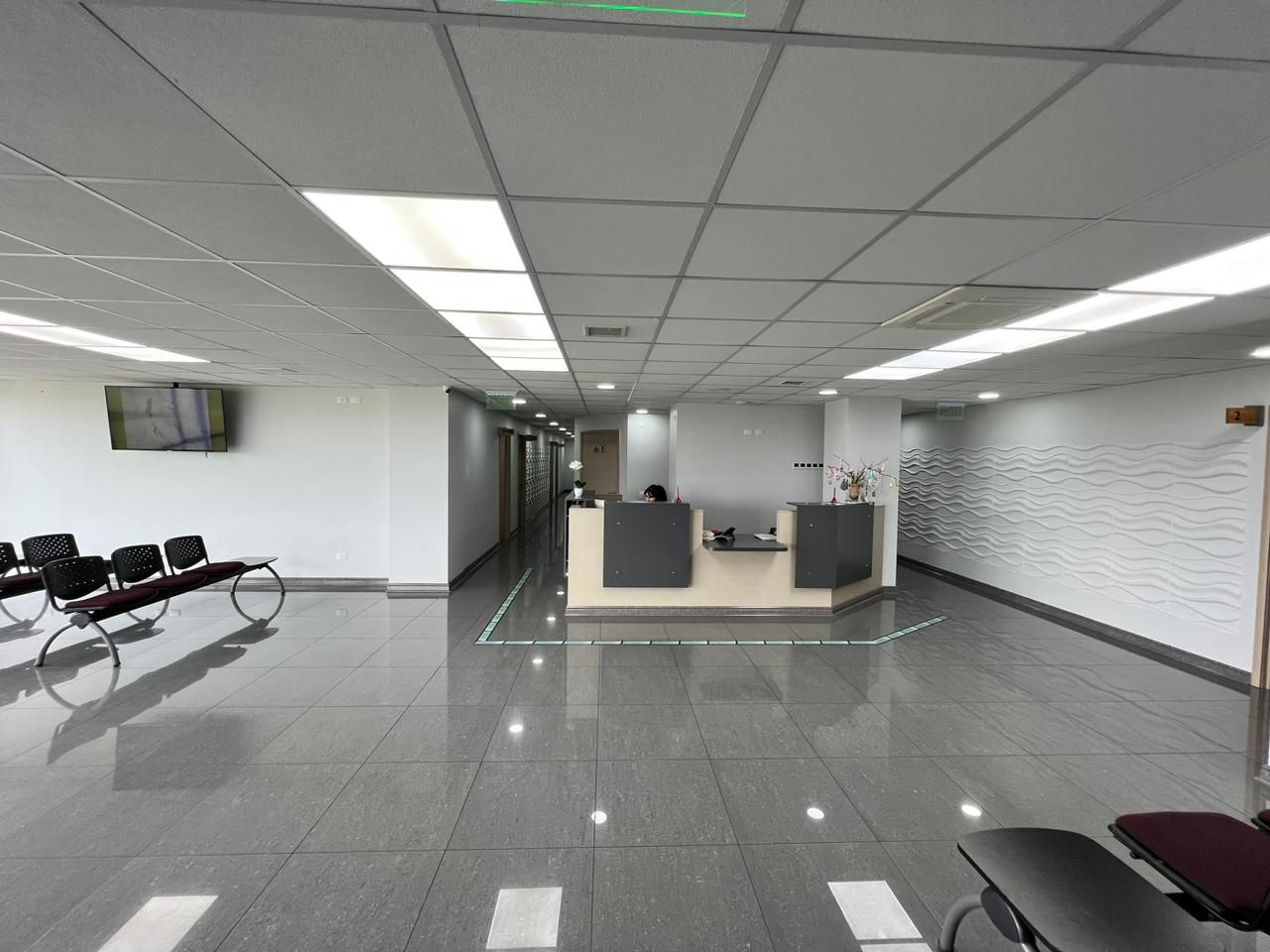 Tomás Labbé Herrera-3