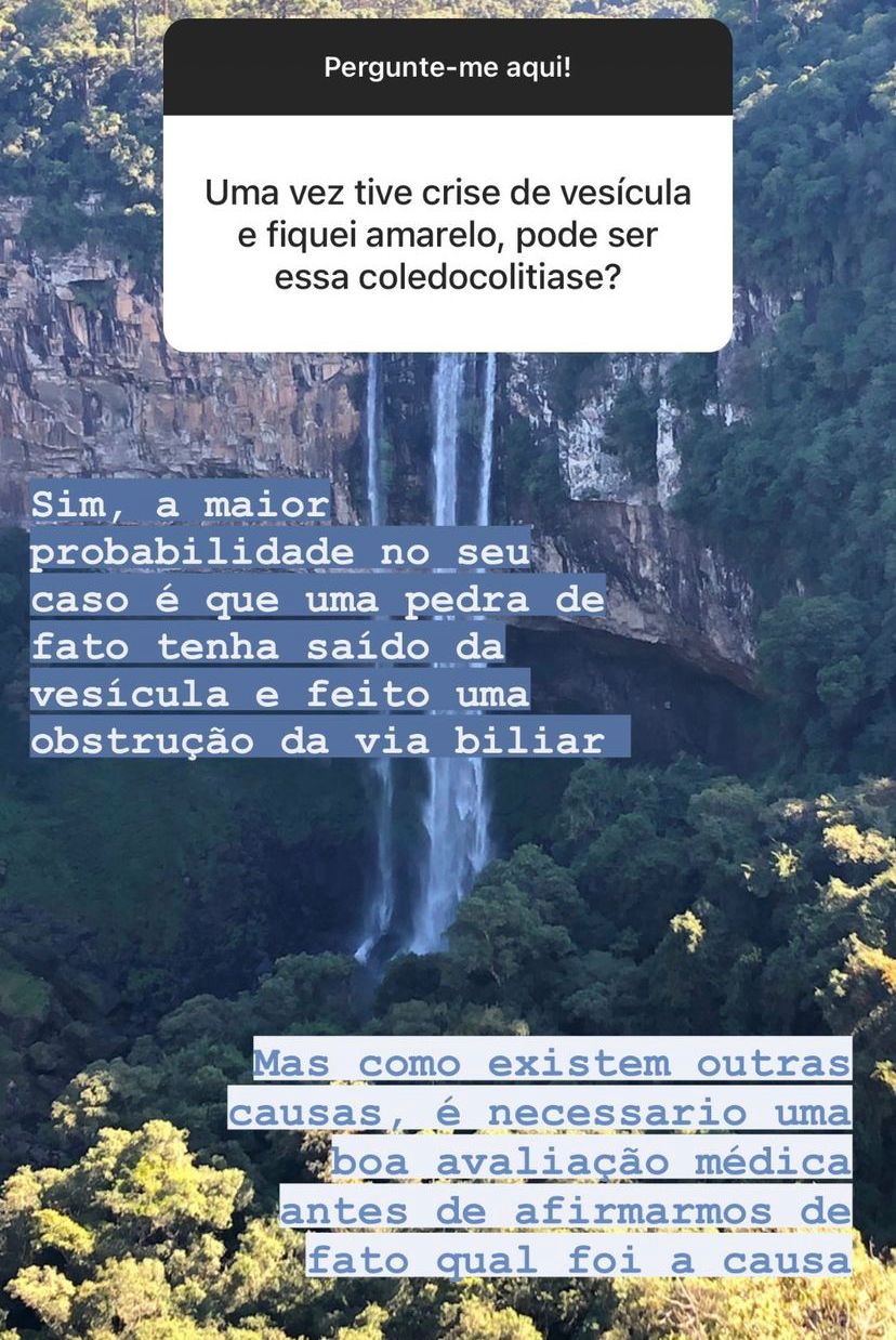 Nelson Bisneto-20