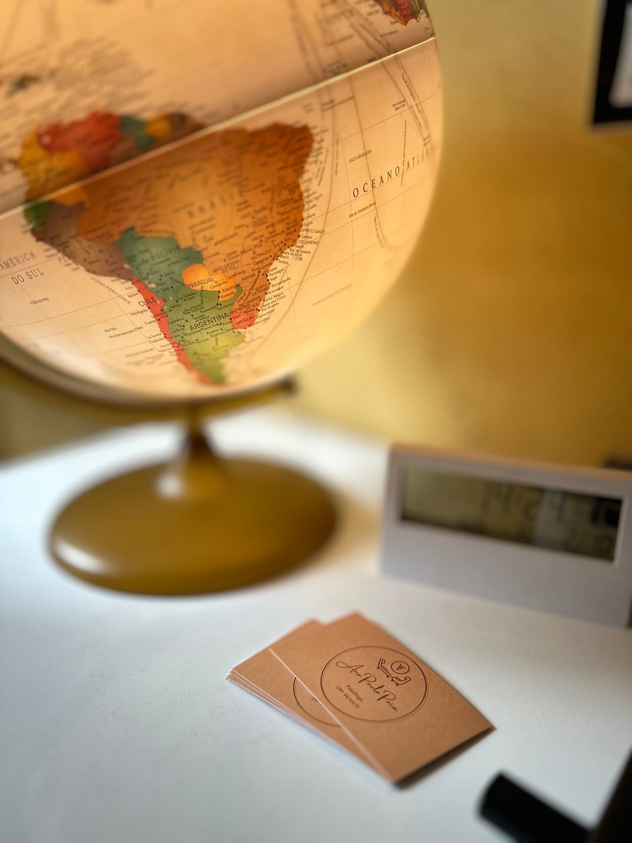 Ana Paula Paiva Santos-5