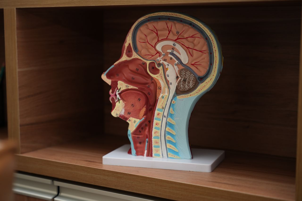 Rodrigo Salmeron De Toledo Aguiar-4