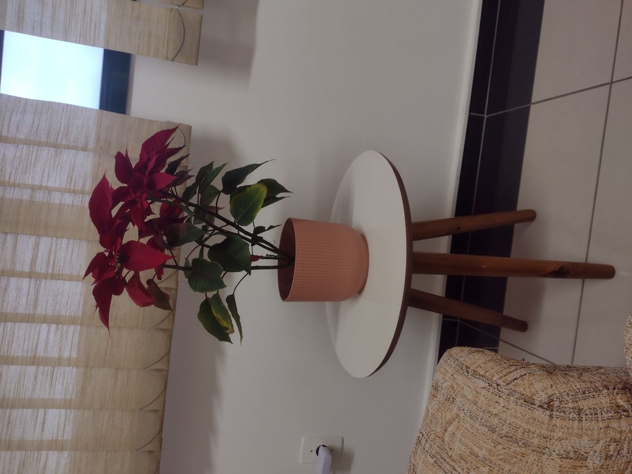 Roselene Aparecida De Paiva-0