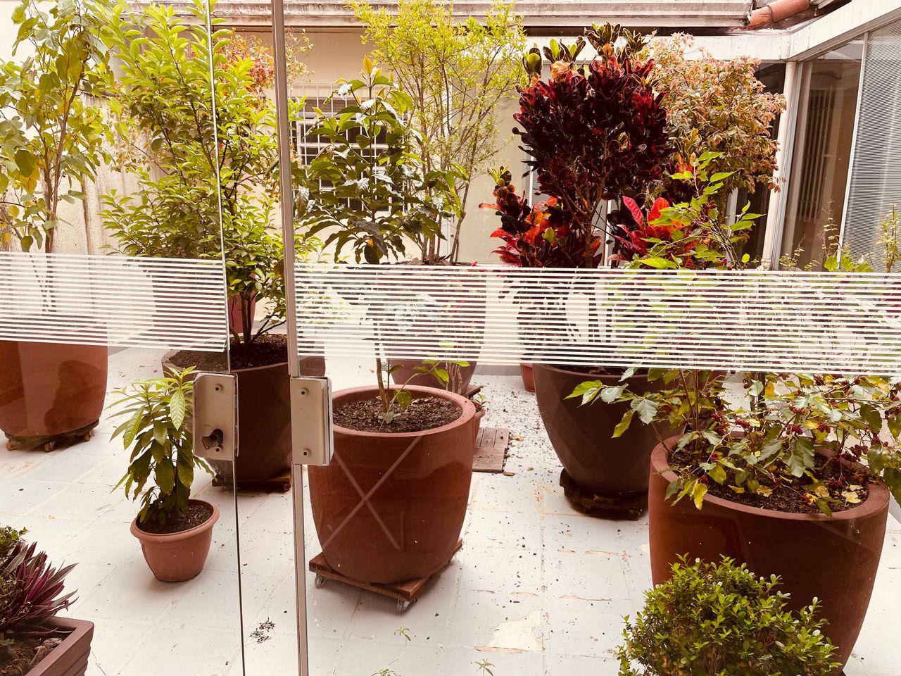 Marta Eliane De Carvalho Bastos-2