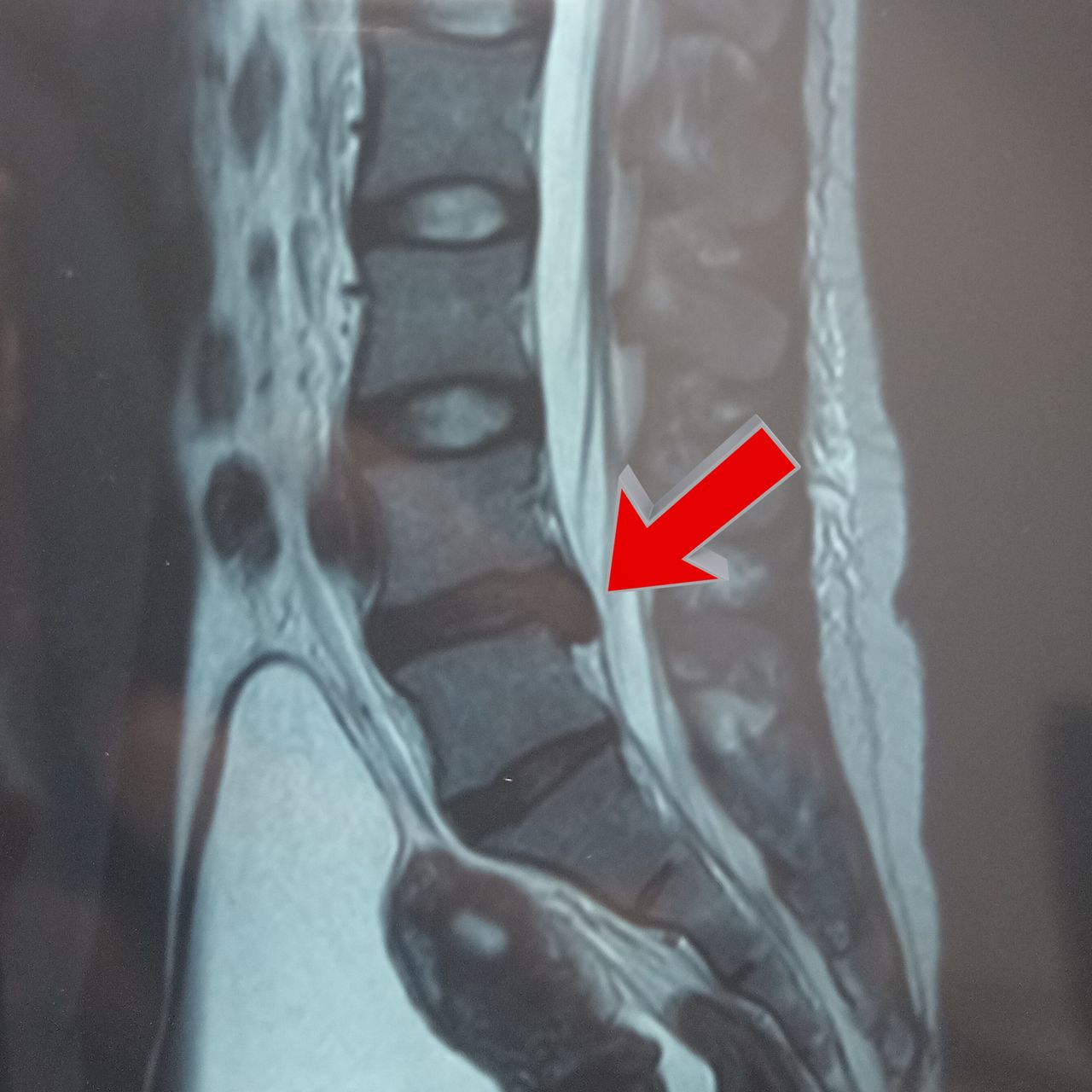 David Tafur Muñoz-1340