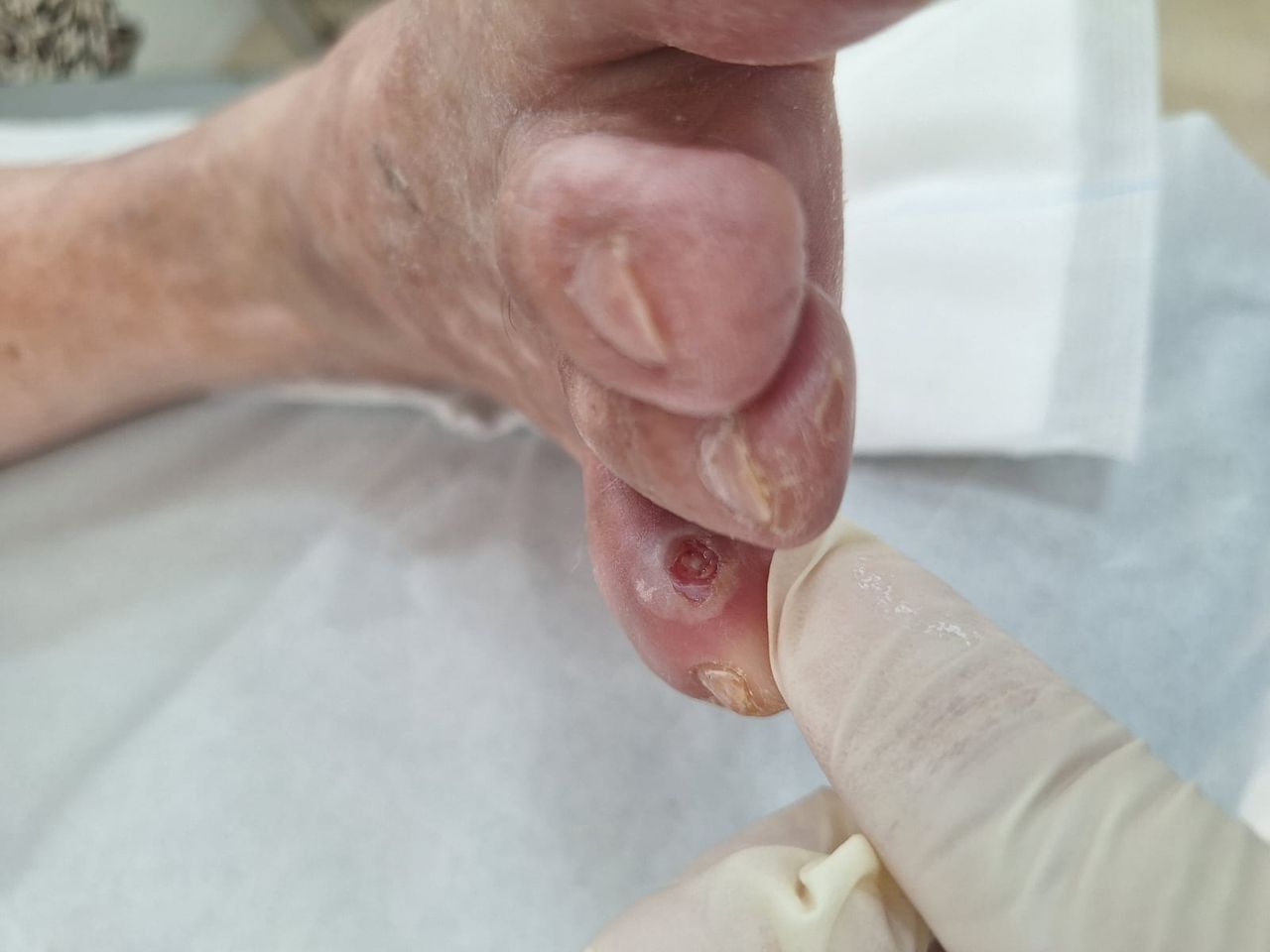 Farmen Elena  Silva Campos-5