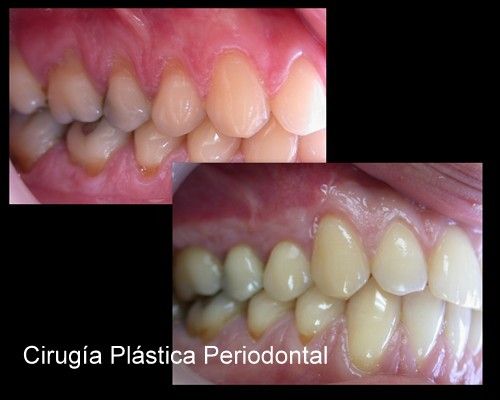 Rodrigo Adolfo Pailamilla Munoz-6