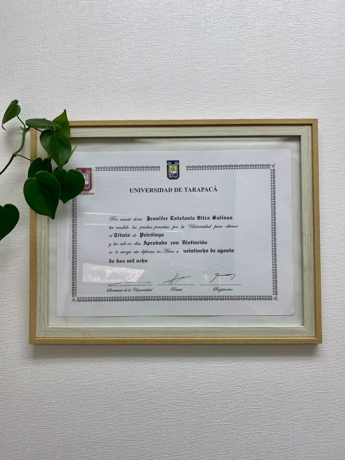 Jennifer Vilca Salinas-20