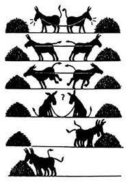 Silvia Gabriela Sommariva-5