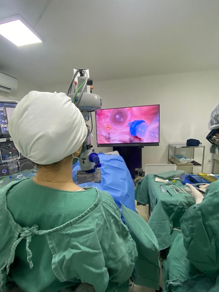 Bianca Luiza Valduga Guareschi-6