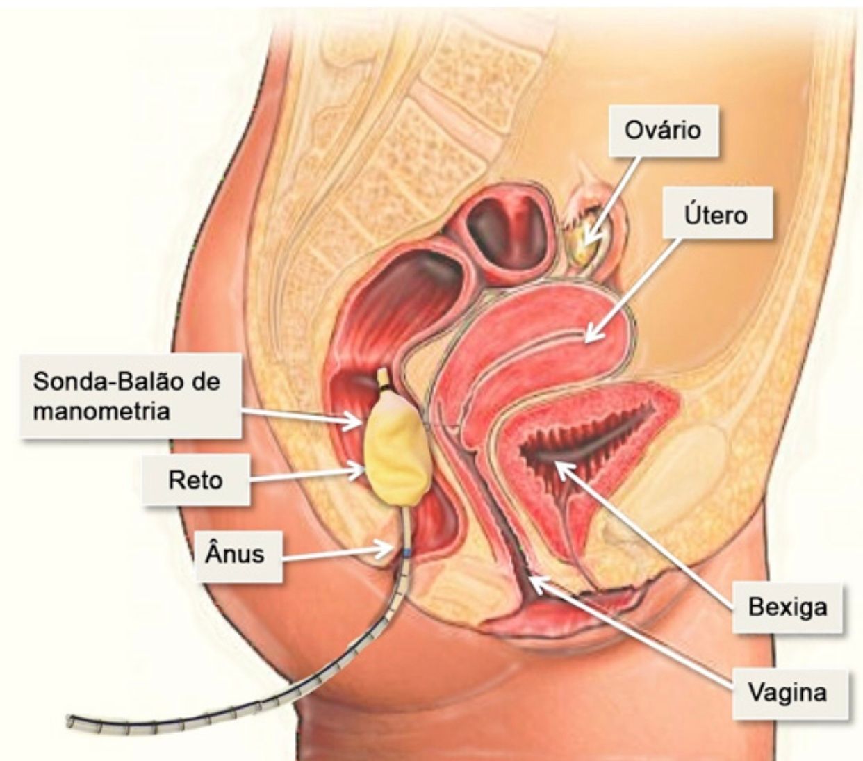 José Bahia Sapucaia Filho-6