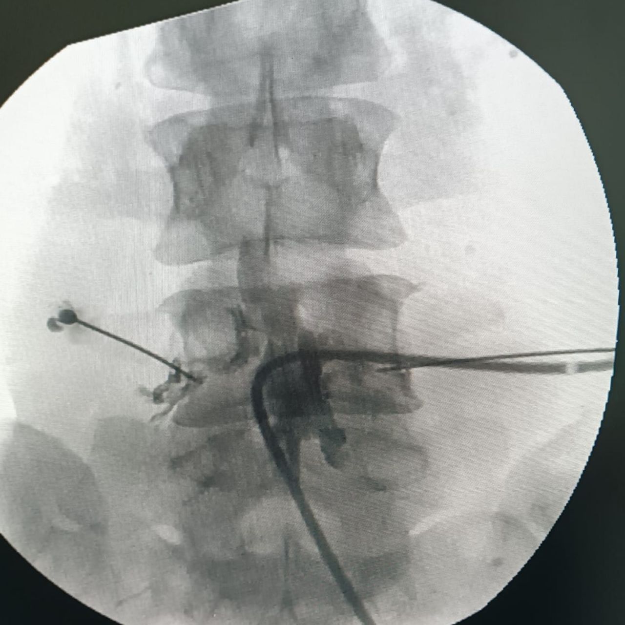 David Tafur Muñoz-1217