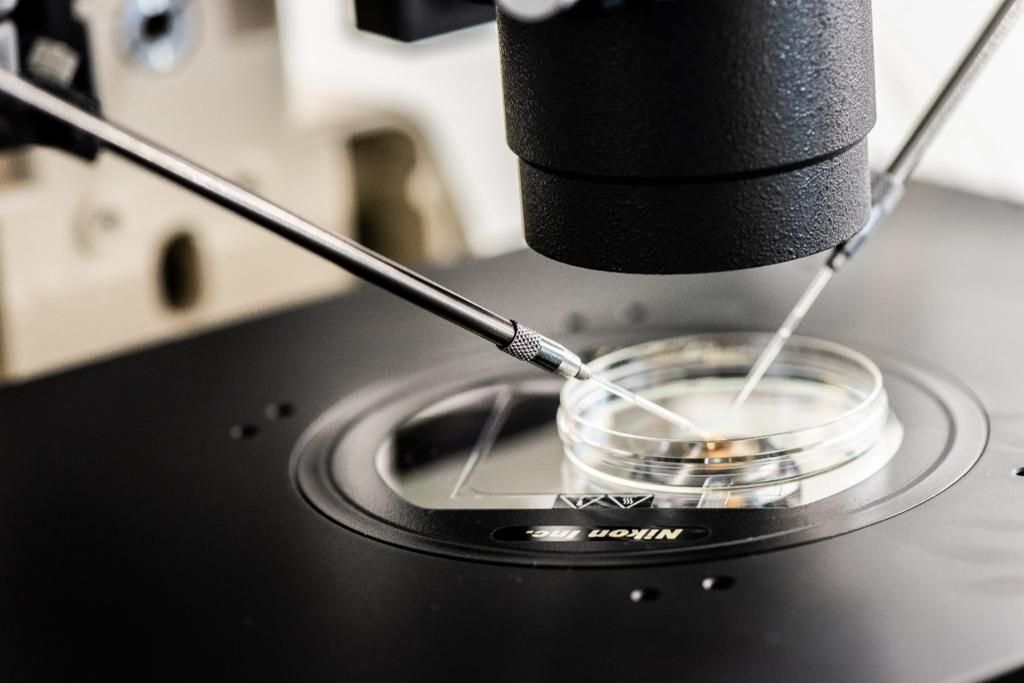 Rodopiano De Souza Florêncio-8