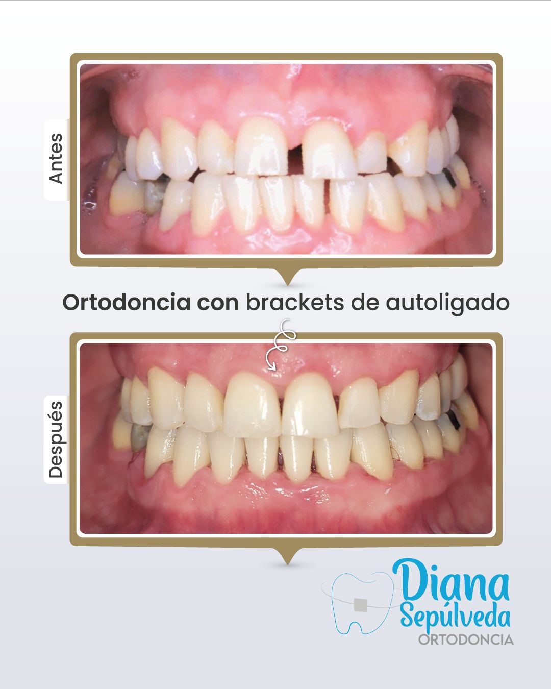 Diana Carolina Sepúlveda Vizcaino-114
