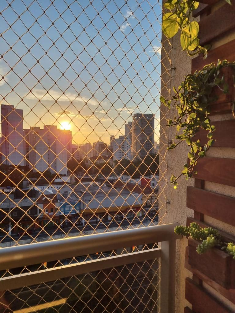 Alexandre Ferrari Amaral-3