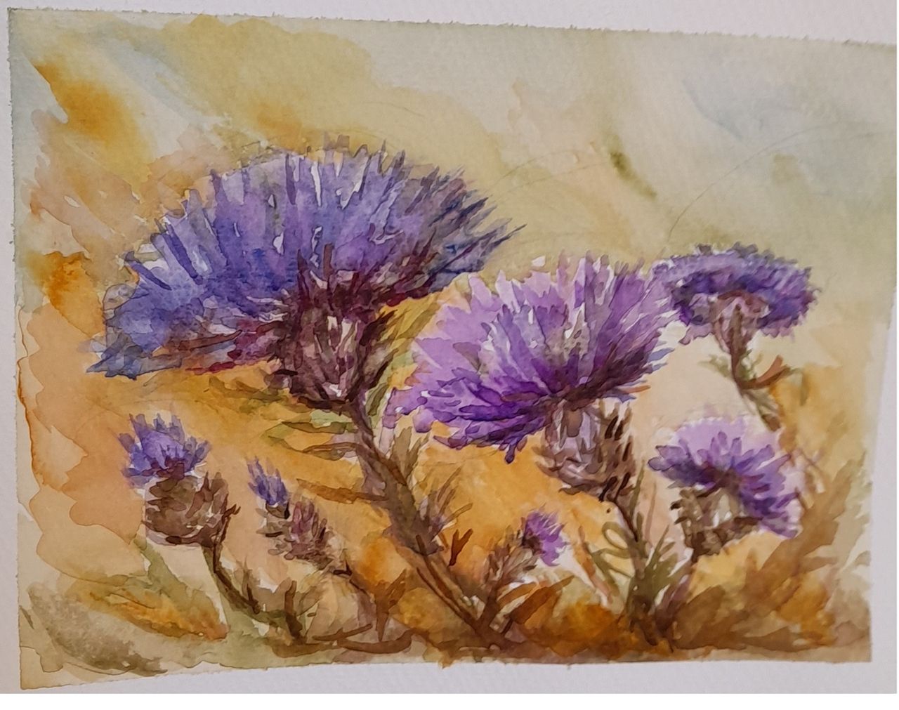 María Beatriz Valenzuela Larrañaga-14