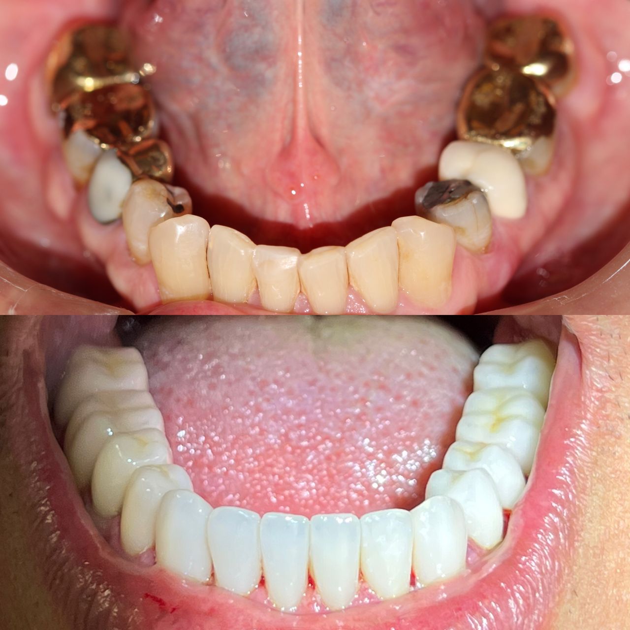 Caroline Benedeti-18