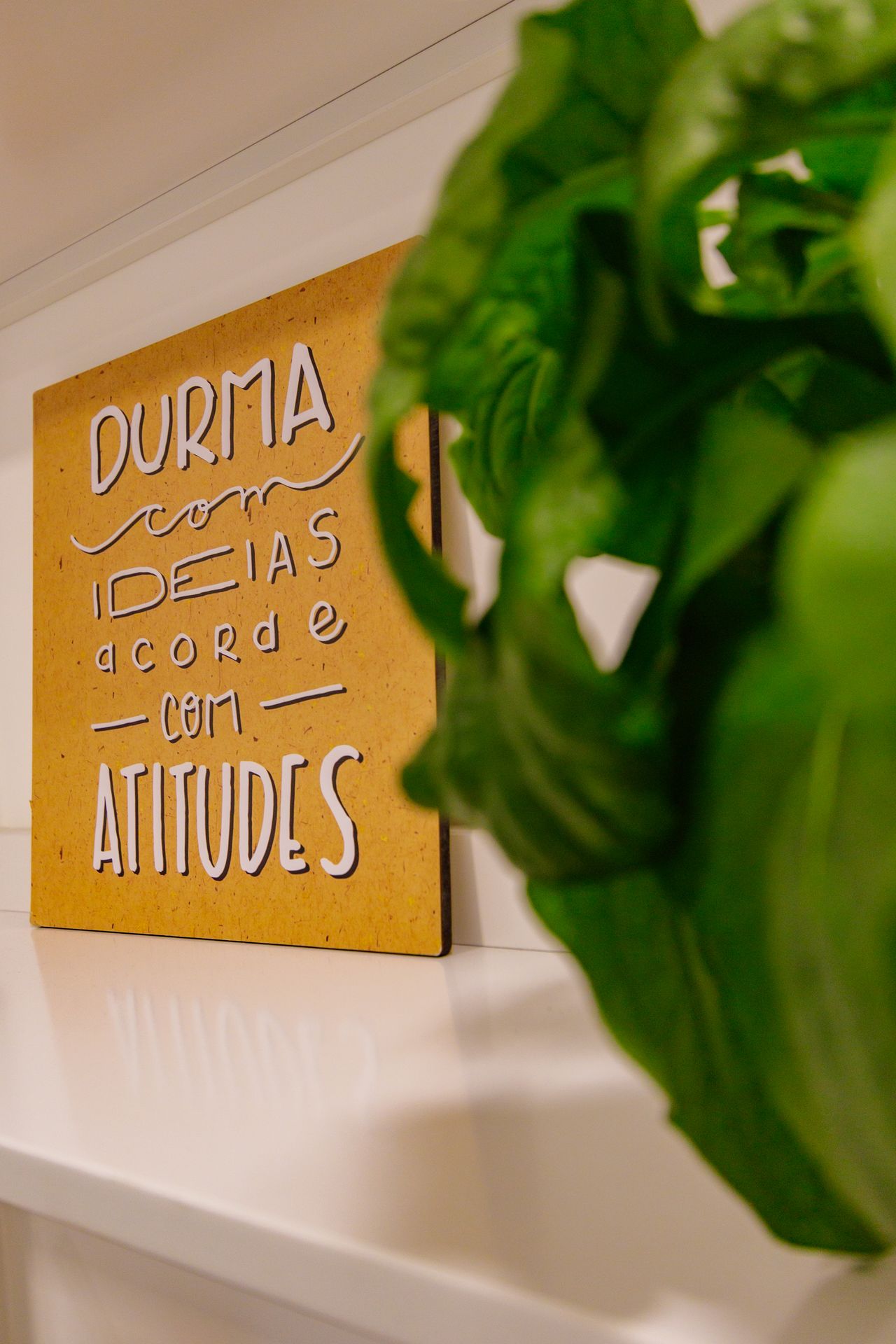 Sandra Monica Rodrigues Lourenço-7