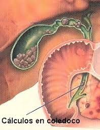 Juan Alberto Artemio Torreblanca Nava-4