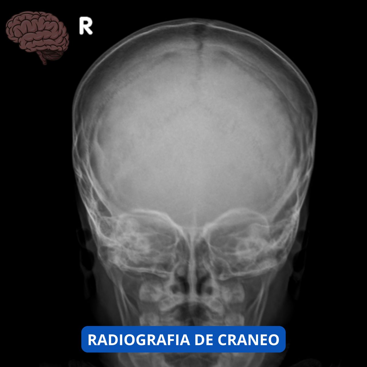 David Tafur Muñoz-1119