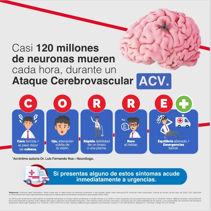 Jorge Ivan Holguin Diaz-105