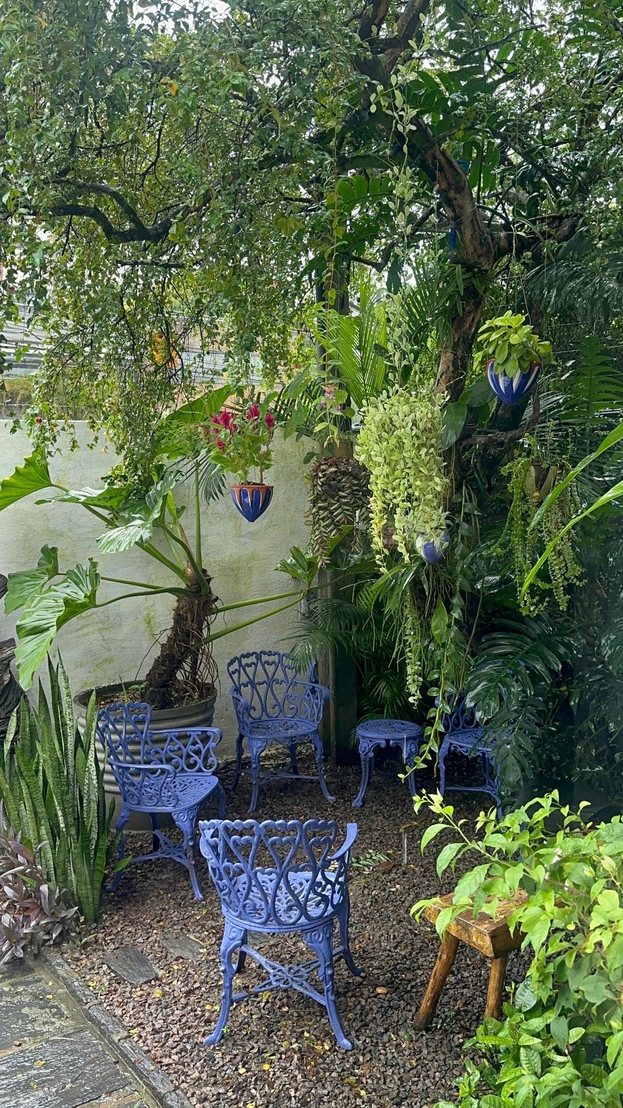 Maria Thereza Caxias Albano-0