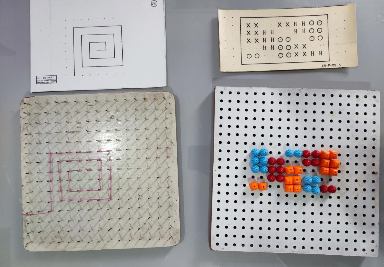 Doroteia Murcia Souza-6