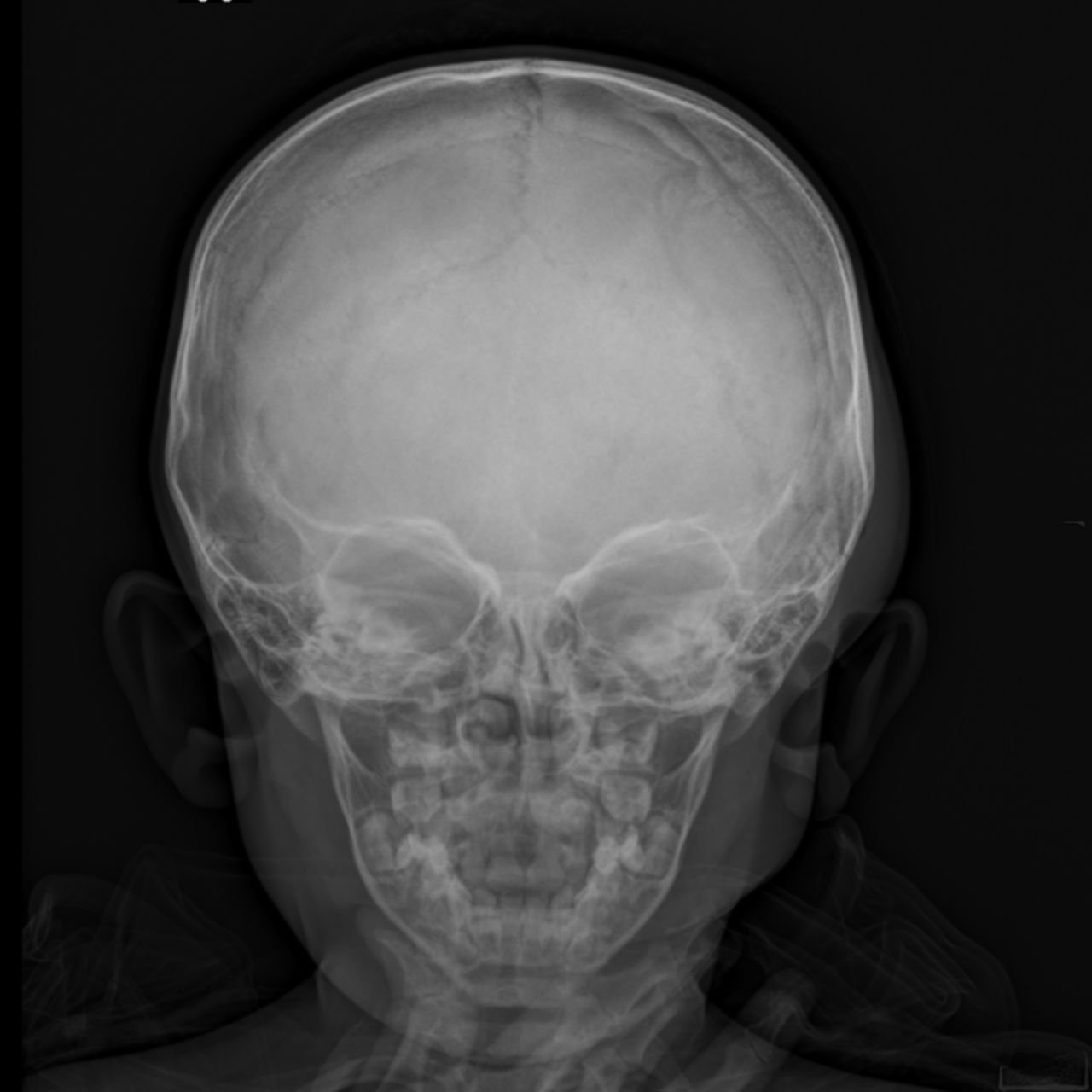 David Tafur Muñoz-1847