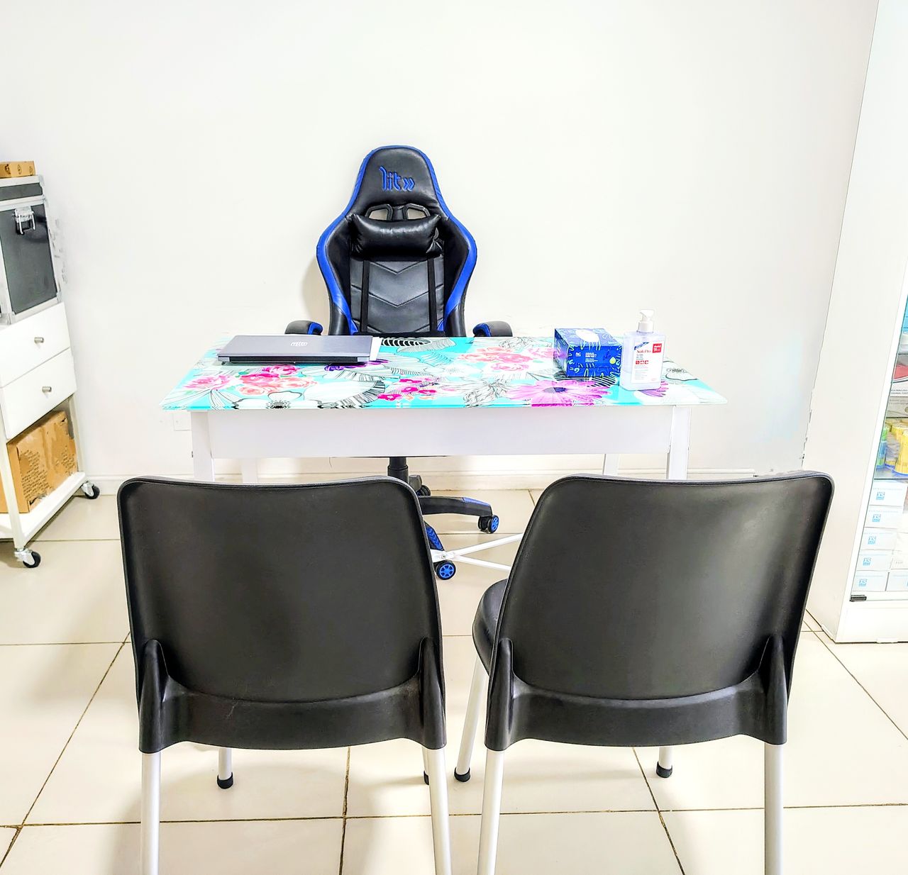 Ps. Elisabet Oliveira Sepúlveda-0