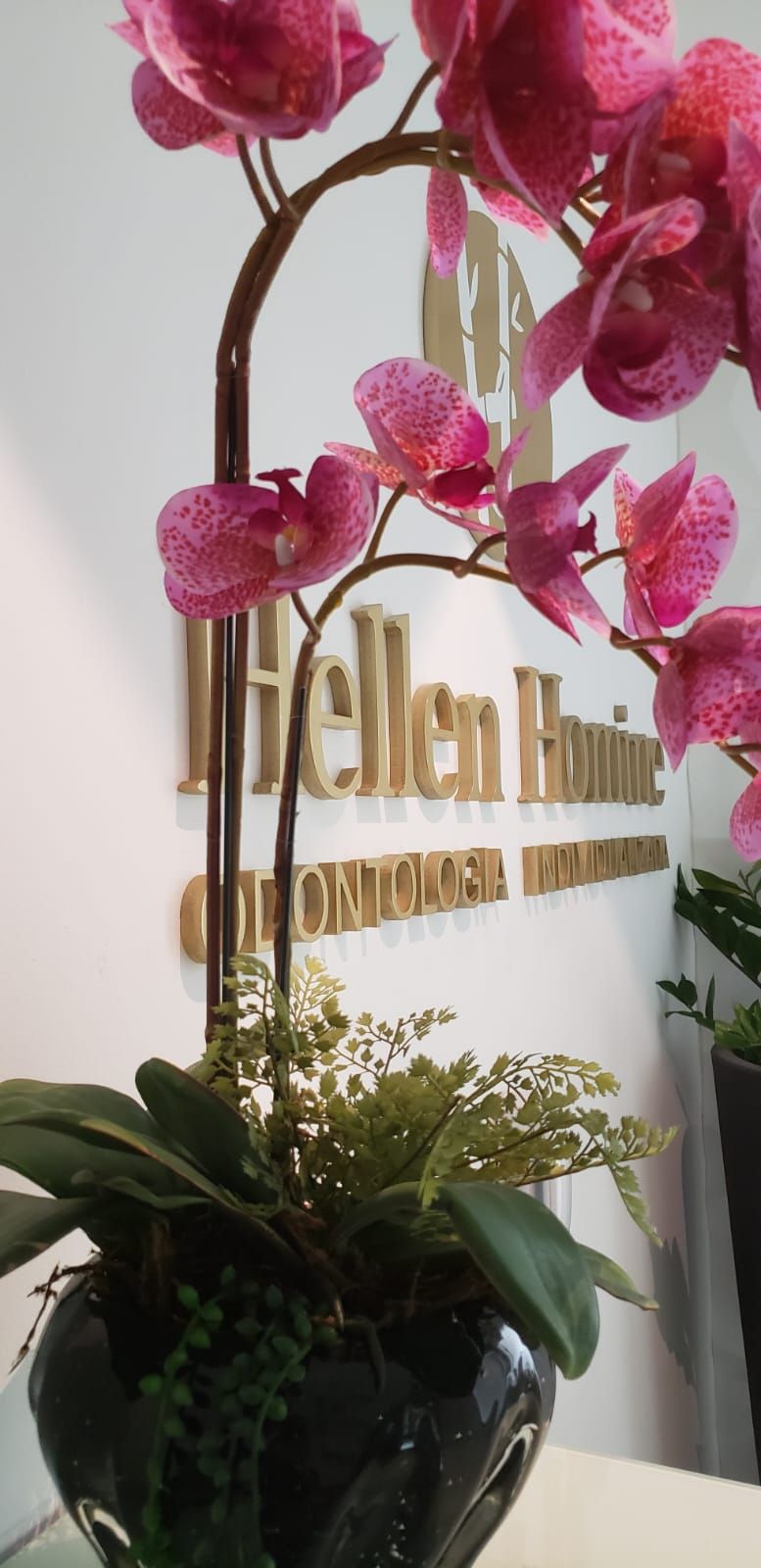 Hellen Regiane Essu Homine-3