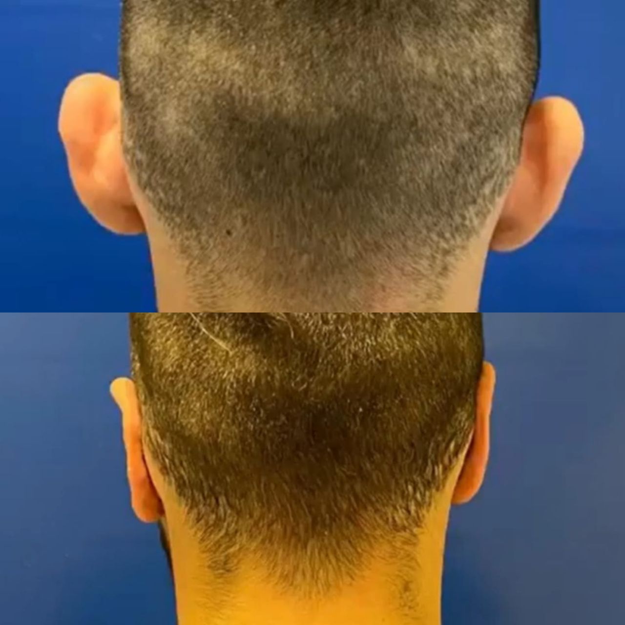 Ana Lucia Rave Martinez-9