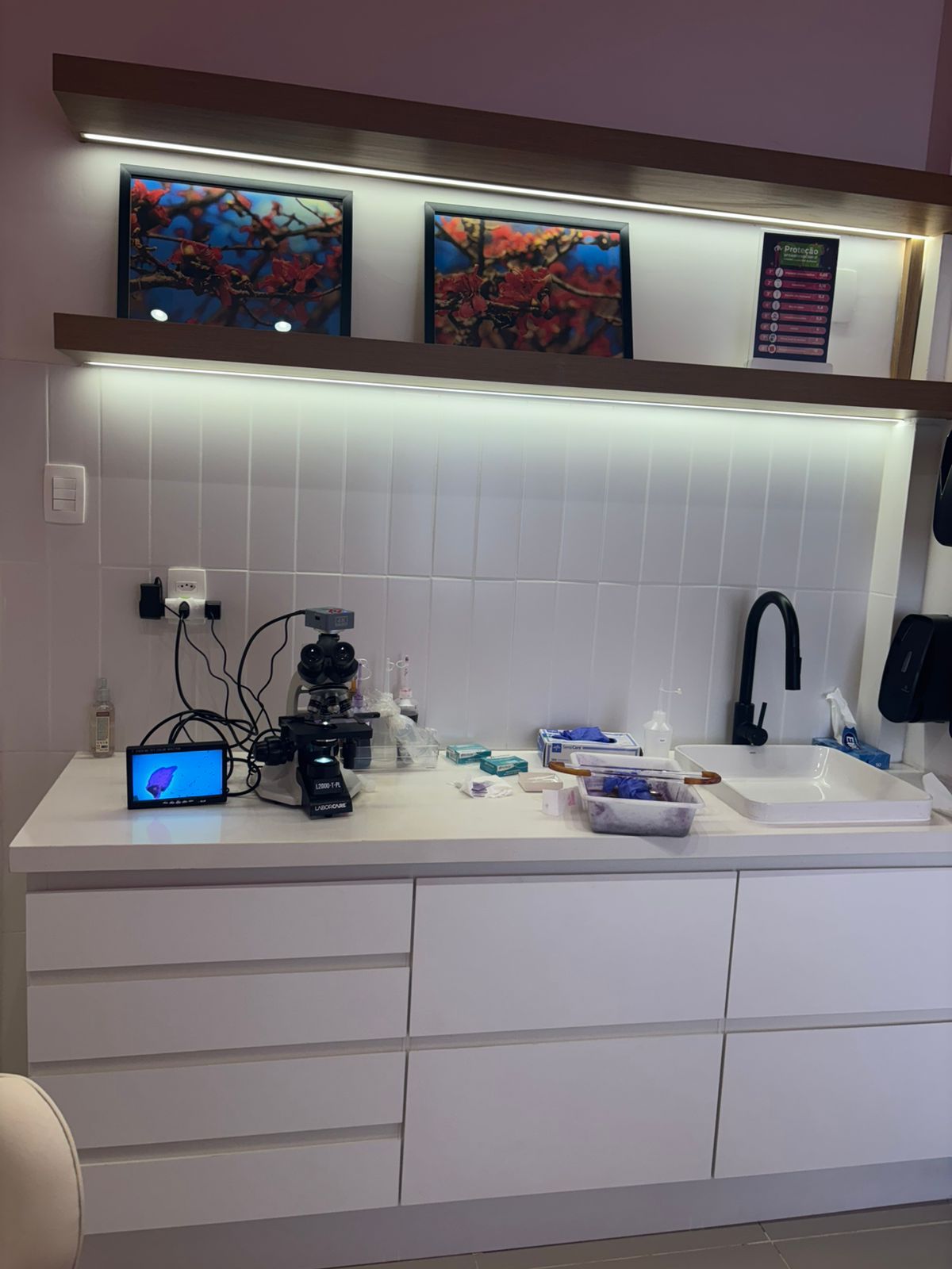 Brenda Rios Ribeiro-13