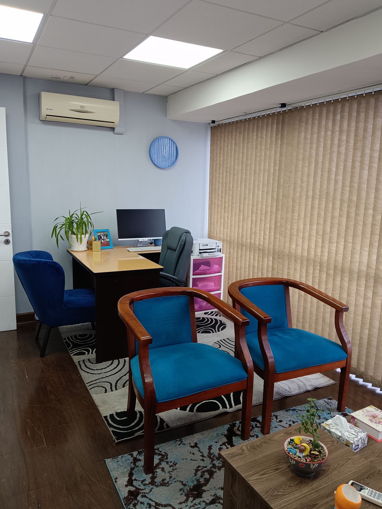 Viviana Moya Navarro-4