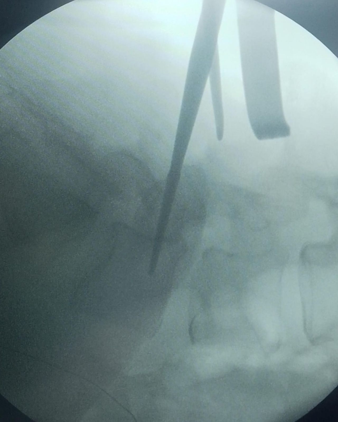 David Tafur Muñoz-1080