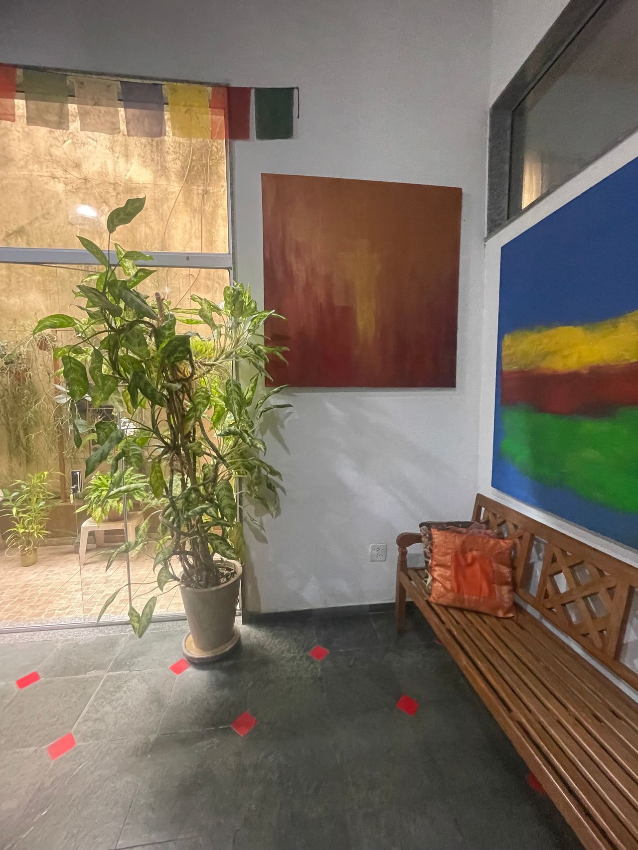 Fernanda De  Paula-9