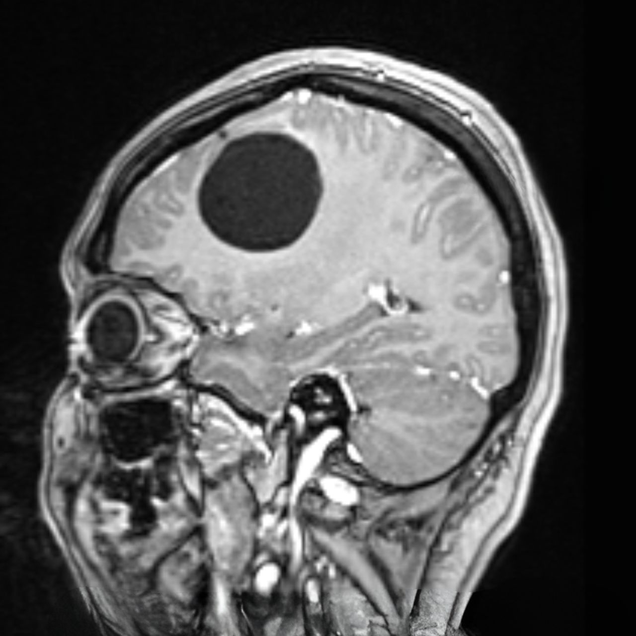 David Tafur Muñoz-1443