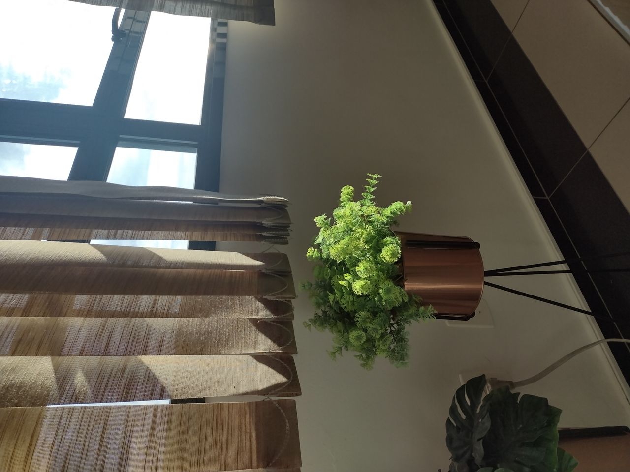 Roselene Aparecida De Paiva-5