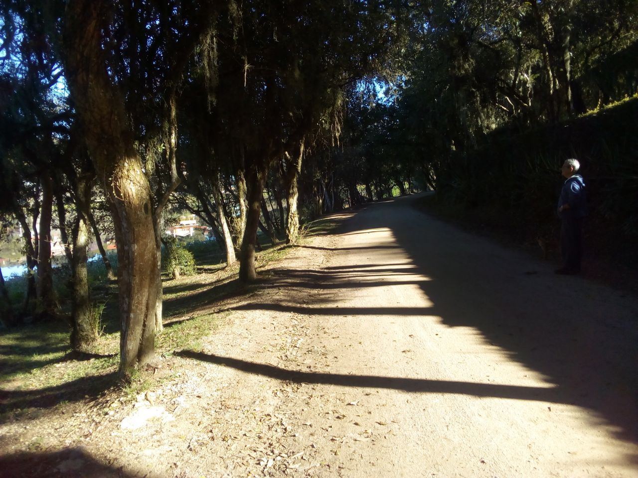 Cleonilde  Guariento -1