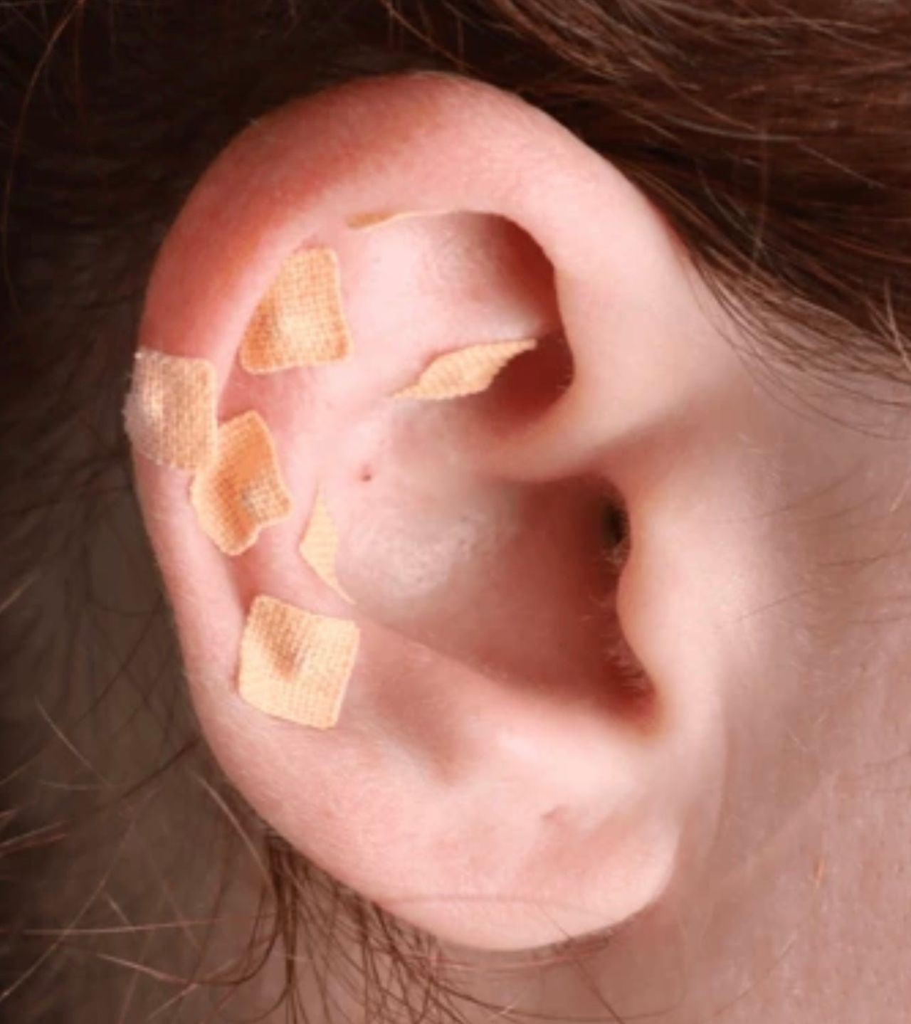  Guillermo  Sepulveda Román-2