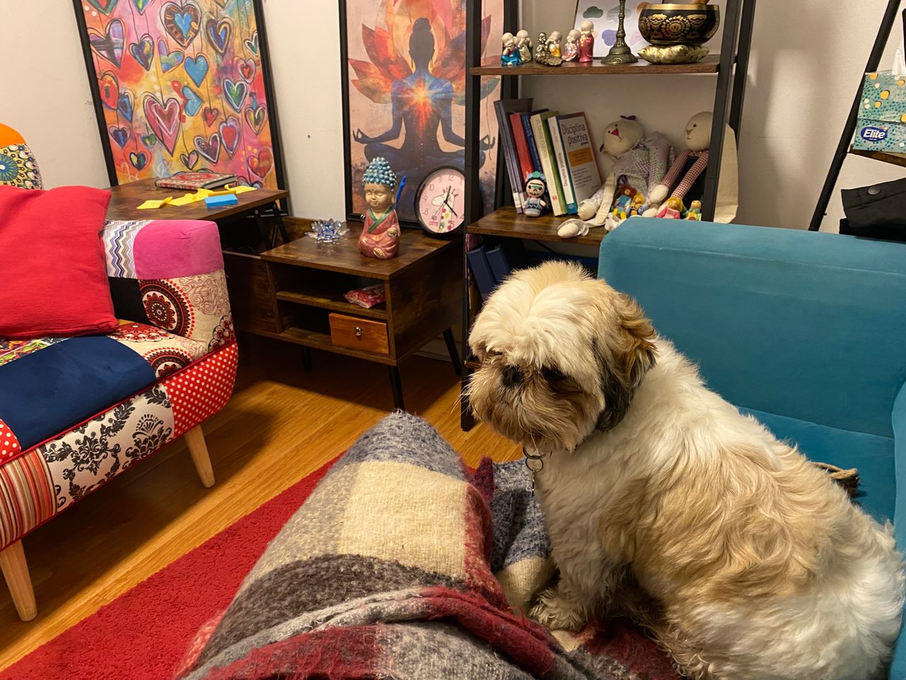 Paula  Dittus Benavente-7