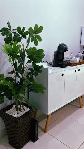 João Henrique De Araujo Marinho-4