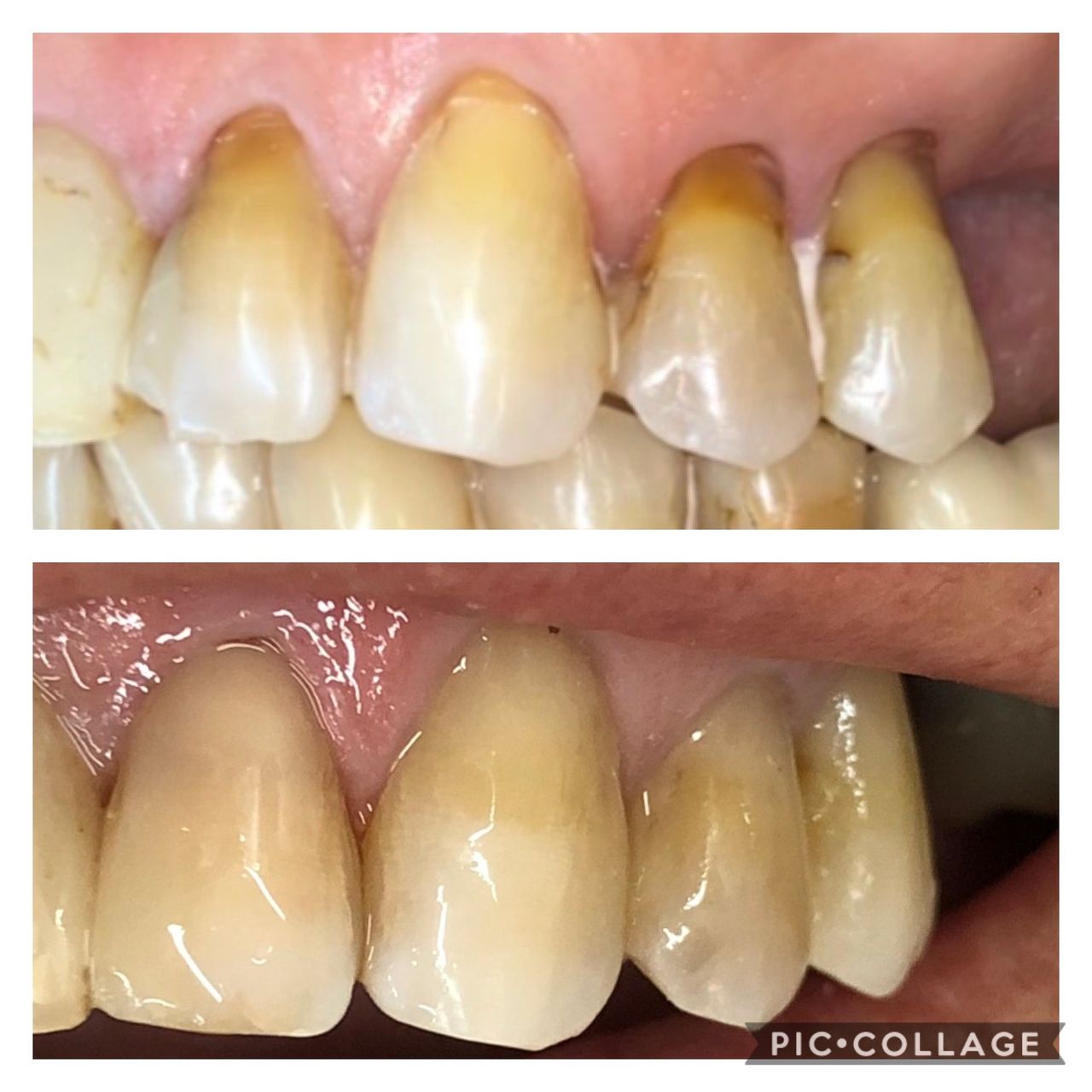 Gabriela Cherulli Barbosa-2