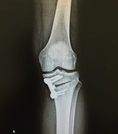 Eduardo Ramalho De Moraes-28