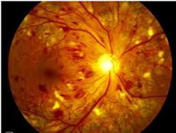 Cristiane Carvalho-0